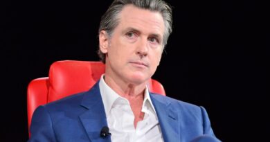 California lawmakers pass AI safety bill SB 53 — but Newsom could still veto | TechCrunch