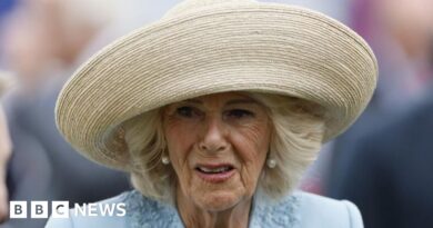 Camilla fought off attempted indecent assault as teenager, book says