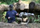 Deadly Toys: Real-Life Robots Are Scarier Than Call Of Duty’s Fiction