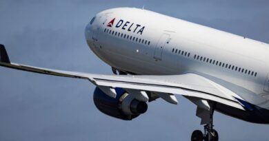 Delta passengers were delayed by 2 days after their flight diverted when an on-board oven caught fire