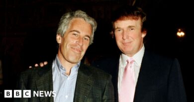 Democrats in Congress release alleged Trump birthday note to Epstein