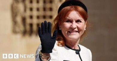 Duchess of York calls Epstein a 'supreme friend' in resurfaced email