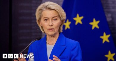 EU chief von der Leyen's plane hit by suspected Russian GPS interference