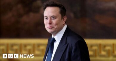 Elon Musk and Prince Andrew named in new Epstein files
