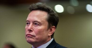 Elon Musk buys $1 billion worth of Tesla shares as he looks to gain more control over the EV maker