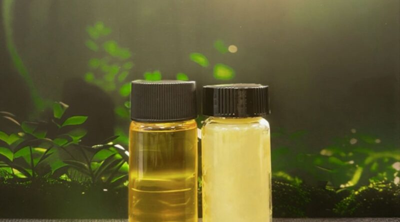 Two vials of oil sit against a leafy backdrop.