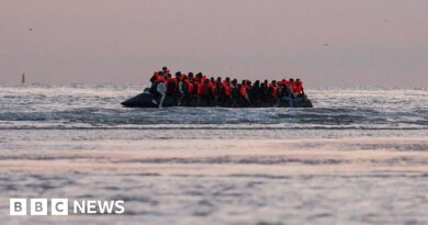 Family reunion rules to be tightened in asylum cases