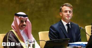 France formally recognises Palestinian state