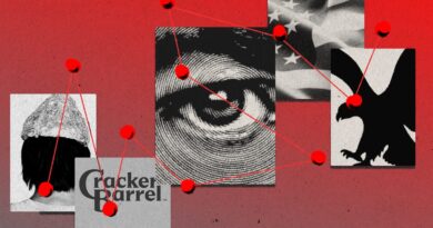 From American Eagle to Cracker Barrel, Americans are now creating wild conspiracy theories about companies