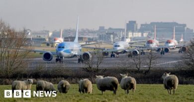 Gatwick airport second runway approved by transport secretary