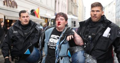 Police officer uses force against Pro-Palestinian protesters in Berlin demonstration