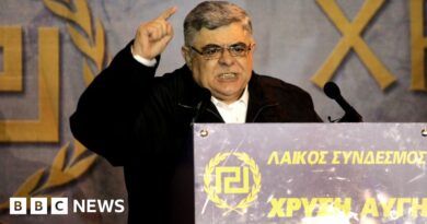 Greece: Neo-Nazi Golden Dawn leader released from prison early