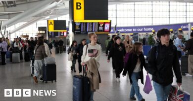 Heathrow cyber-attack: Delays possible after check-in system hit