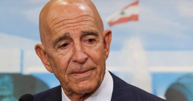 Hezbollah a ‘legitimate political party’ within Lebanon, US envoy says