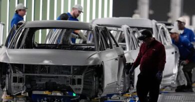 Hyundai has for decades poured billions into America's South. Then ICE rattled its biggest US project yet.