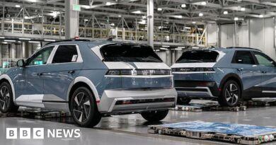 Hyundai raid: South Korea mounts swift response to deal with raid on US facility