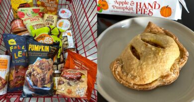 I tried 24 seasonal fall snacks from Trader Joe's, and I'd buy at least 16 of them again