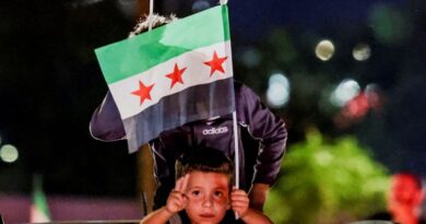 Syria celebration