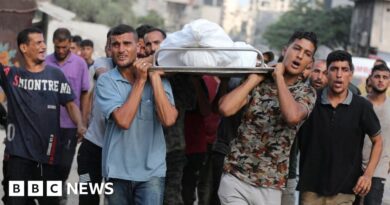Israel committing genocide in Gaza, world's leading experts say
