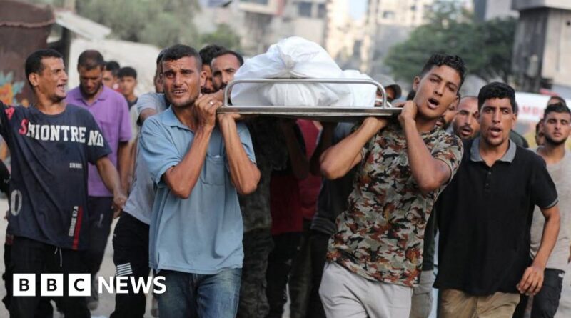 Israel committing genocide in Gaza, world's leading experts say