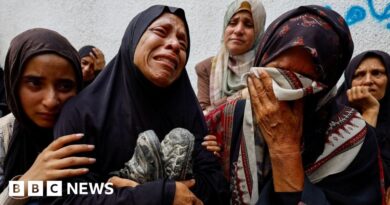 Israel has committed genocide in Gaza, UN commission of inquiry says