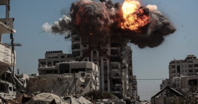 Israel kills 53 in Gaza, flattens more towers as toll from famine rises