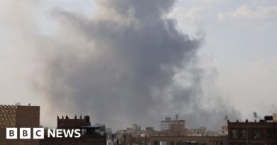 Israeli strike on Yemen's Houthis reportedly kills eight