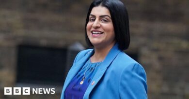 Justice secretary to get power to veto Sentencing Council guidance