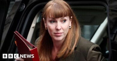 Labour body meet to plan race to replace Angela Rayner as deputy