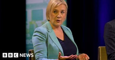 Lib Dems want Nightingale processing systems to clear asylum backlog