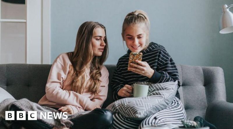 Lib Dems want health warnings on teens' social media