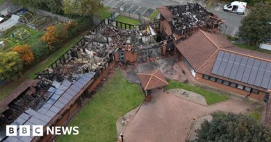 Man admits arson at MP Sharon Hodgson's Washington office building