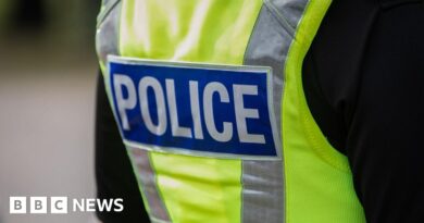 Man arrested over alleged 'racially motivated' rape in West Midlands