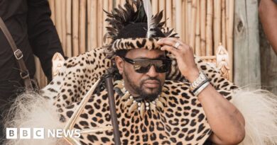 Misuzulu kaZwelithini: Zulu king challenges professor to stick fight in South Africa