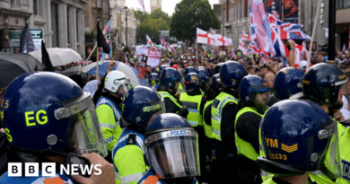 More than 100,000 join Tommy Robinson rally, as counter-protesters demonstrate
