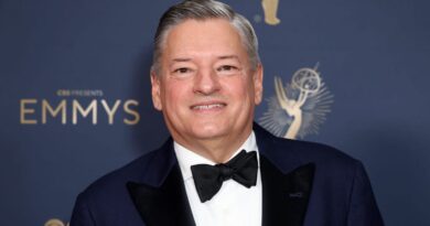 Netflix's co-CEO shares a key piece of career advice that he thinks is becoming 'a lost art'