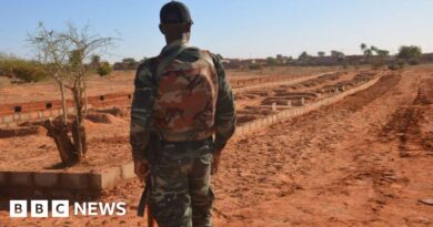 Niger attacks: Jihadist groups executing civilians and burning homes, HRW warns