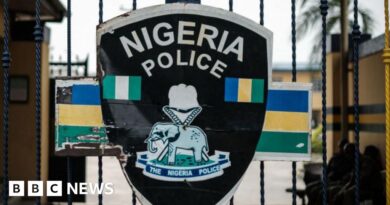 Nigeria blasphemy: Mob burns woman to death for allegedly blaspheming against Prophet Muhammad