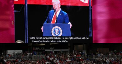 Political violence is an American problem only white America can resolve
