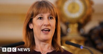 Rachel Reeves pushes for EU youth migration scheme ahead of Budget