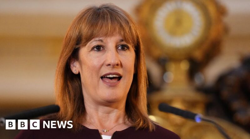 Rachel Reeves pushes for EU youth migration scheme ahead of Budget