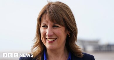 Rachel Reeves to guarantee paid work for young people unemployed for 18 months