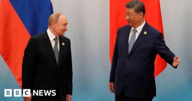 Russia's Vladimir Putin and China's Xi Jinping begin talks in Beijing