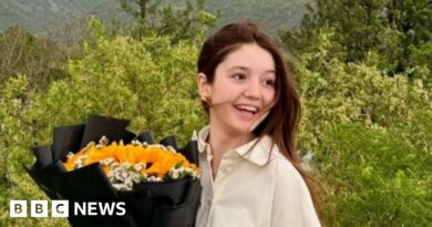 Sana Yousaf: Man charged with the murder of teen TikTok star