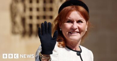 Sarah Ferguson removed from charity after Epstein email