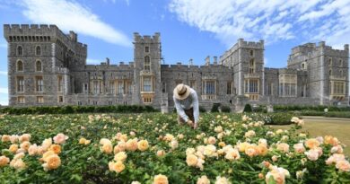See inside Windsor Castle, the largest occupied castle in the world with around 1,000 rooms