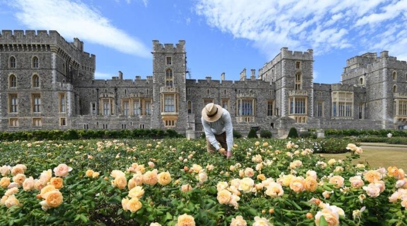 See inside Windsor Castle, the largest occupied castle in the world with around 1,000 rooms