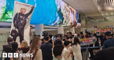 South Korean workers detained in US raid arrive home