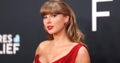 Taylor Swift May Have A New Movie Coming To Theaters
