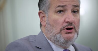 Ted Cruz blasts FCC chair's 'mafioso' tactic to bench Kimmel | Fortune